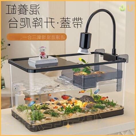 烏龜混養魚