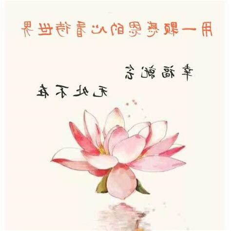 種什麼因得什麼果意思