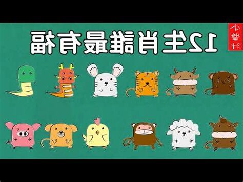 12生肖+出生時辰超準命運走向