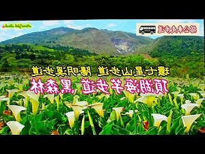 海芋風水