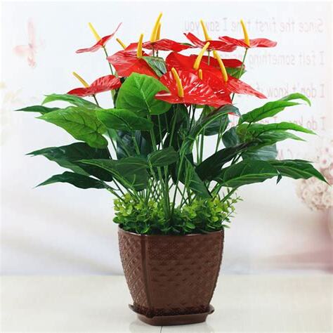 假花草