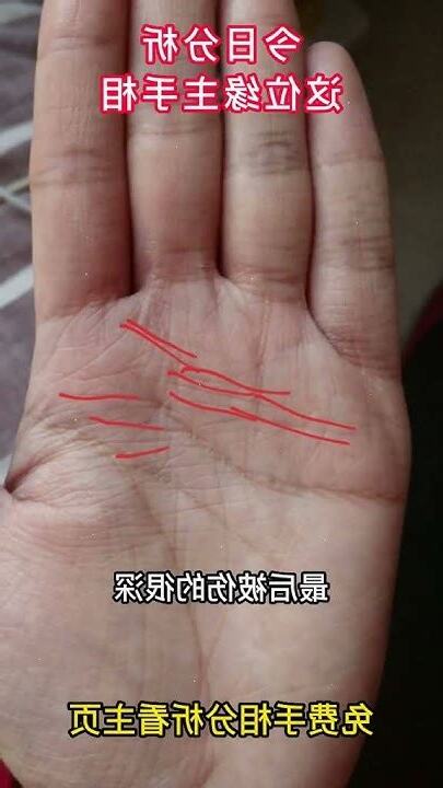 免費掌紋分析