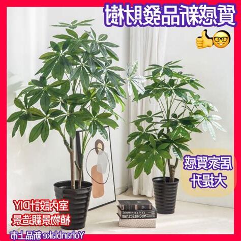 仿真植物風水