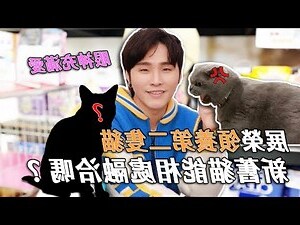 夢見2隻貓