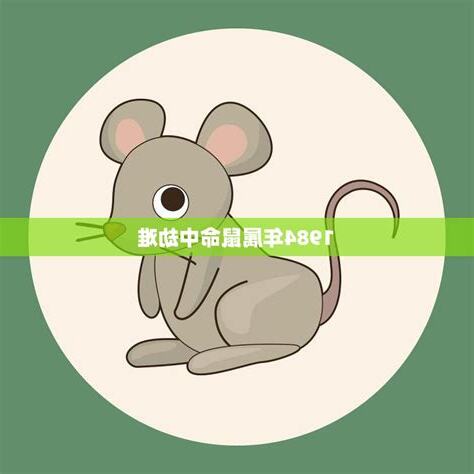 1984年是什么鼠