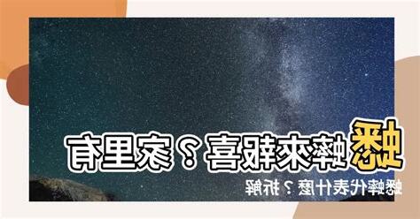 家有蟋蟀