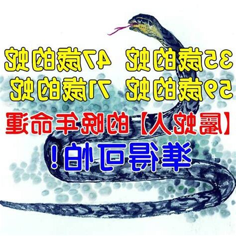 屬蛇的命運