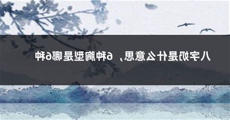 八字奶意思