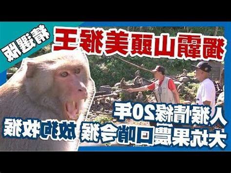猴子千字