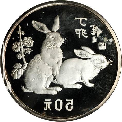 丁卯兔