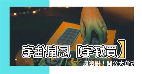 屬鼠房屋座向