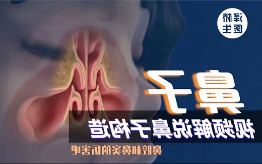 鼻子上有一條橫線