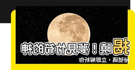 夢見竹筍號碼