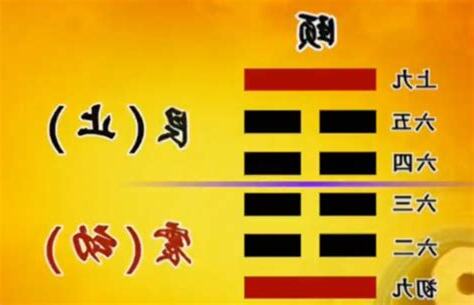 頤卦感情