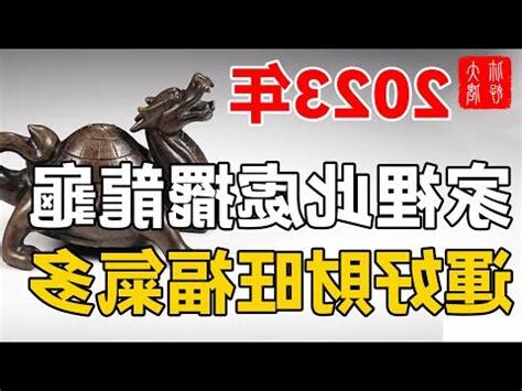 龍龜擺放卧室