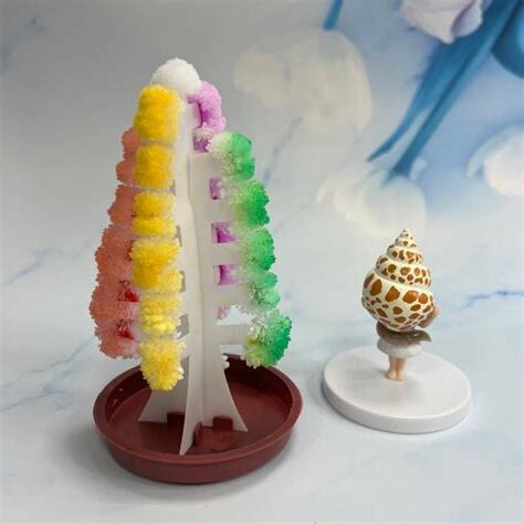 聖誕樹開花