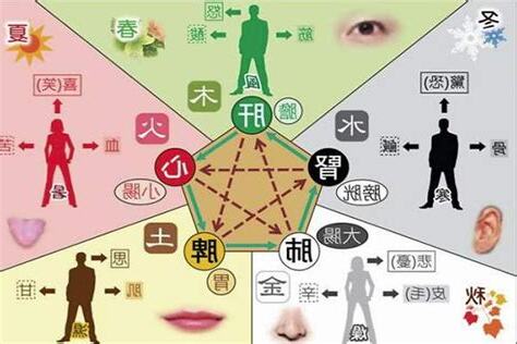 五行五臟