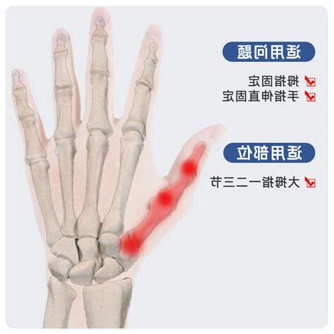 第一掌指關節