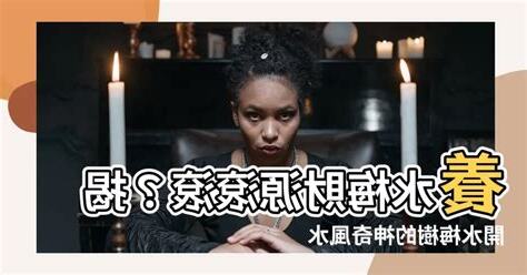 水梅風水