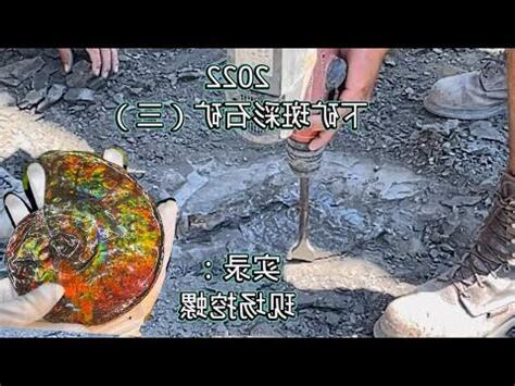 假斑彩