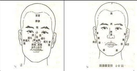 額骨面相