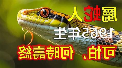 1965年是什麼命
