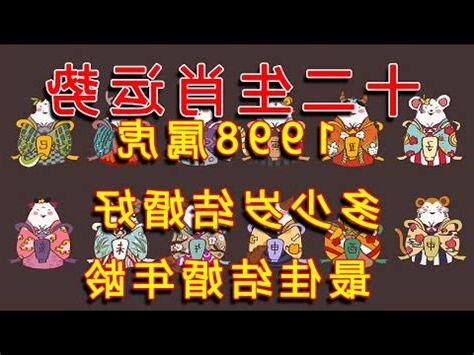 屬虎的五行