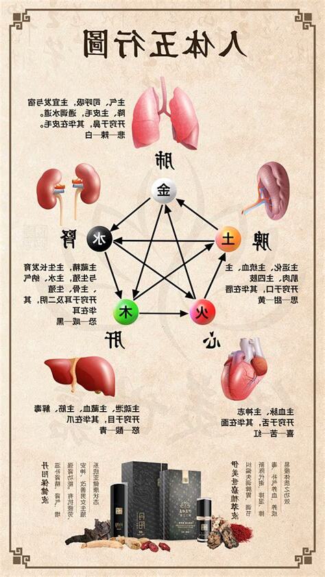 五行身体部位