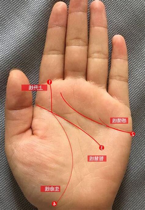 2條生命線