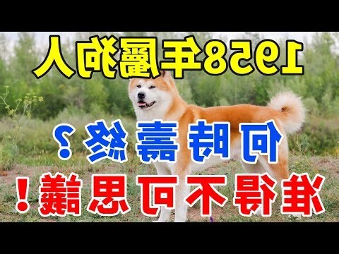 屬狗今年幾歲