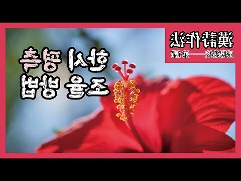 鶴膝