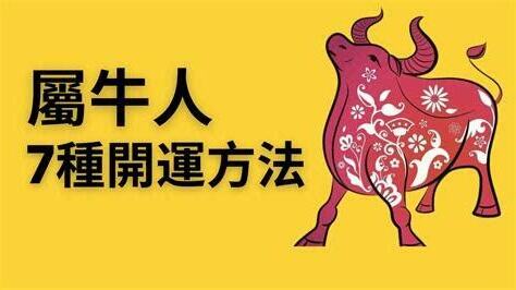 2023屬牛