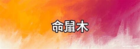 木鼠命