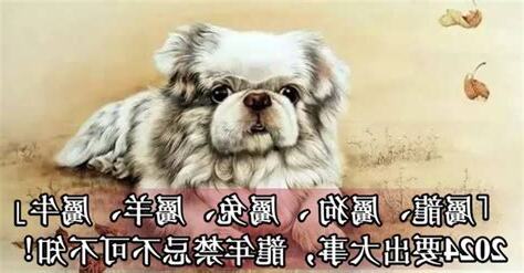 2023屬牛禁忌