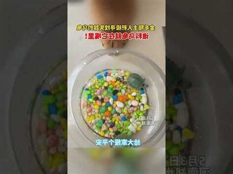 養三隻烏龜