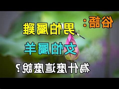 雞男羊女