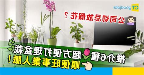 辦公室放假花