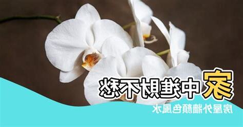 房子顏色風水