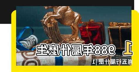 88屬什麼