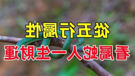 蛇五行屬性