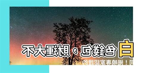 白色錢包風水