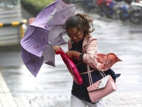 夢見大風大雨