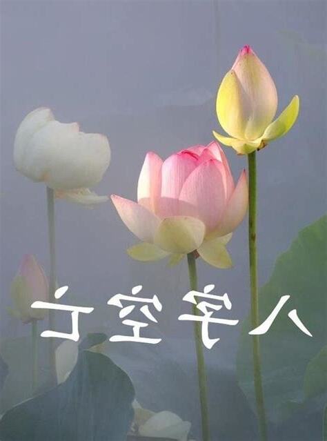 空亡化解