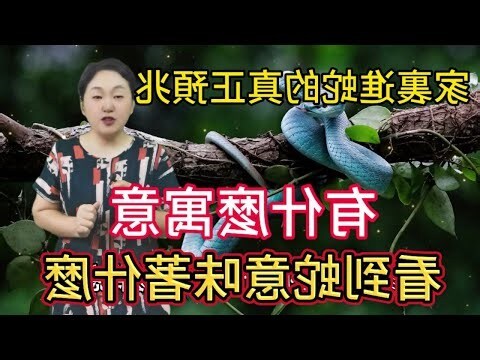 家裡有蛇代表