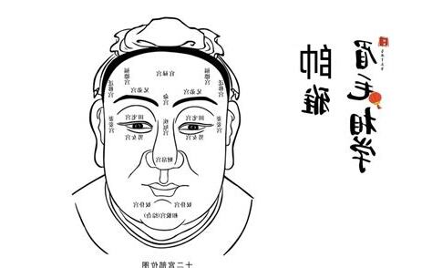 五行眉毛