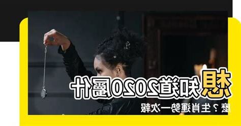 2020屬什麼