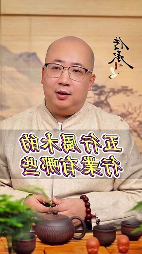 木3局適合從事的行業