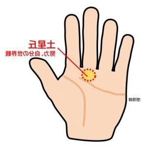 土星丘直紋