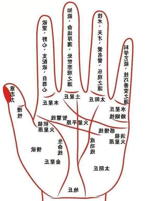 手紋分析