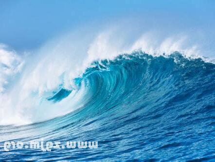 夢見大海浪